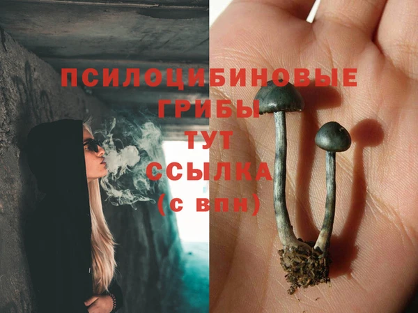 ECSTASY Алексеевка